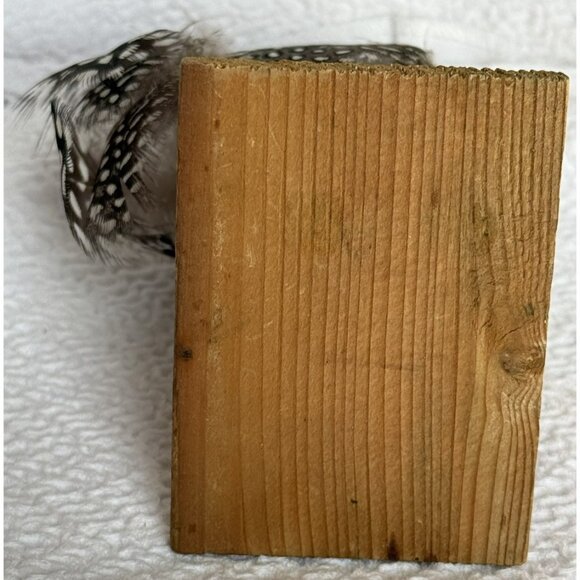 Antique German Made Paper Mache Bird Possibly Sandgrouse Real Feathers Wood Base - Picture 11 of 14